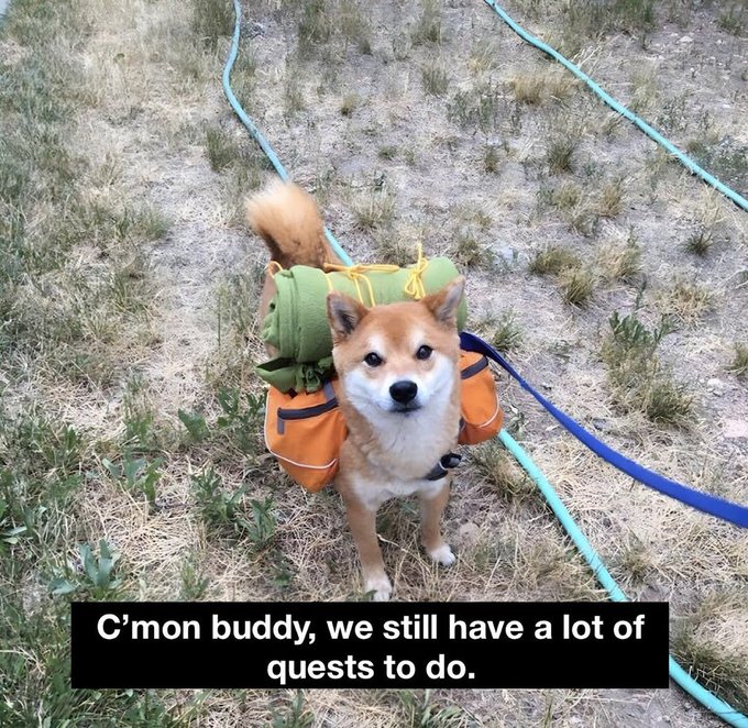 A Shiba Inu dog wearing a green and orange backpack hiking harness stands on a dirt path with a blue leash attached, captioned with text reading 'C'mon buddy, we still have a lot of quests to do.'