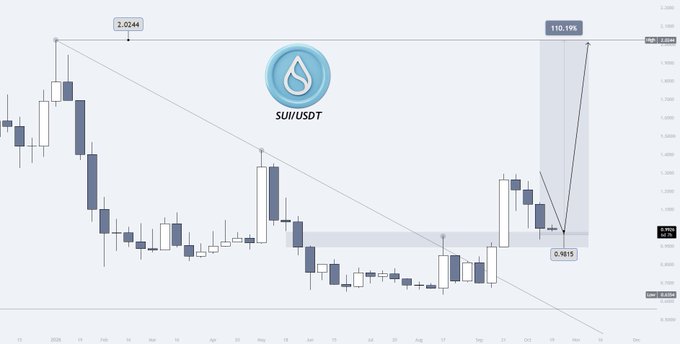 A SUI/USDT price chart showing candlestick patterns with a descending trendline, highlighting a high of 2.0244, a projected gain of 110.19%, and a current price around 0.9615.