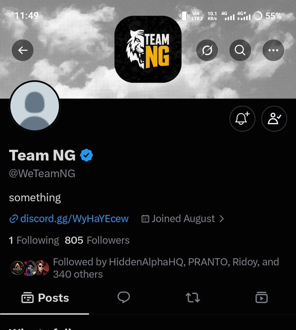 A Twitter/X profile page for 'Team NG' (@WeTeamNG) shows a logo with a lion and 'NG', a bio reading 'something', a Discord link, and follower counts.