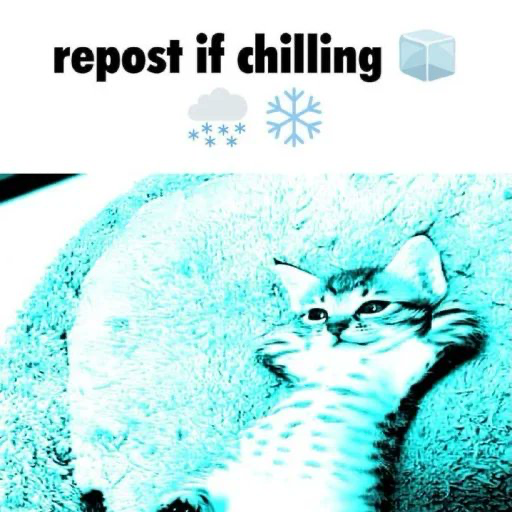 A cyan-tinted photo of a tabby cat lounging on a fluffy rug, with the caption "repost if chilling ❄️" displayed above along with snow and ice cube emojis.