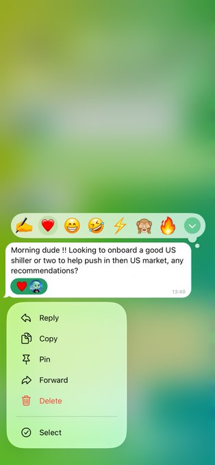 A screenshot of a WhatsApp-style chat message reading 'Morning dude !! Looking to onboard a good US shiller or two to help push in then US market, any recommendations?' with a context menu showing Reply, Copy, Pin, Forward, Delete, and Select options.