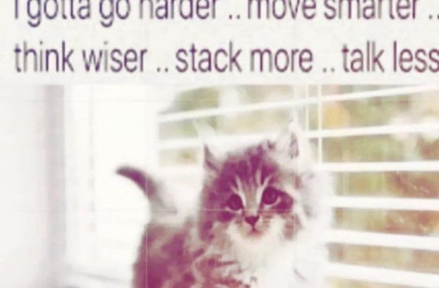 The image features a cute fluffy kitten sitting by a window with white blinds, accompanied by the motivational quote "I gotta go harder...move smarter...think wiser...stack more...talk less" overlaid at the top. The post's ambitious declaration of wanting it all ("i want it all gn") pairs humorously with the kitten's focused, determined expression, embodying a "rise and grind" mentality with a playful, endearing twist.