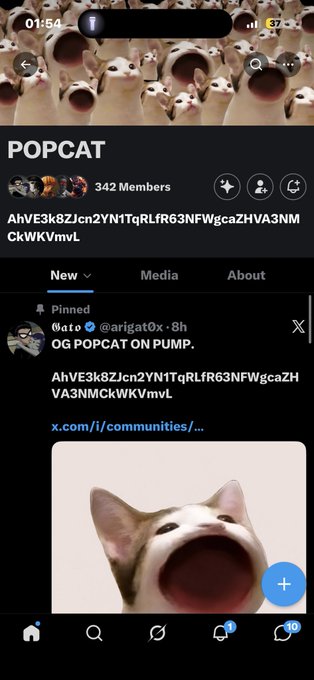 A screenshot of a social media app showing a community called 'POPCAT' with 342 Members, featuring a pinned post by @arigatoX with meme images of cats.