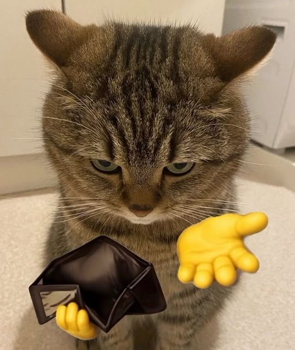 A tabby cat looking downward at an empty wallet held out by a yellow emoji hand, symbolizing financial emptiness or loss.