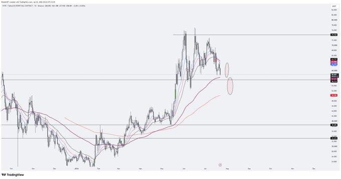 A TradingView chart of $HYPE/USD shows price action approaching the 50 level, with red circles highlighting the D100 and D200 EMA levels (~48-49) as potential gapfill targets, supporting the post's thesis of DCAing sub-$50 for a bull market spot position.