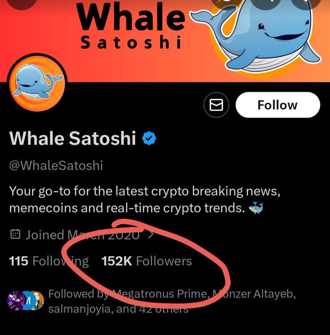The image shows a Twitter/X profile for "Whale Satoshi" (@WhaleSatoshi), an account claiming to provide crypto breaking news and memecoin trends, featuring a blue whale logo and 152K followers (circled in red). The post context "$lunc #GreenpeaceUNITED" suggests the account likely shared content related to the LUNC cryptocurrency and Greenpeace, fitting its stated focus on crypto news and memecoins.