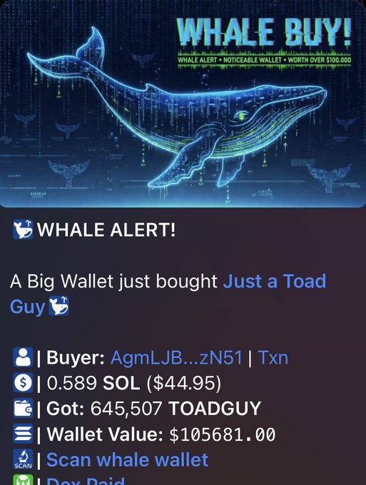 A 'WHALE BUY!' notification from Whale Alert announces a large transaction of 645,507 TOADGUY tokens bought for 0.589 SOL ($44.95) by wallet AgmLJB...zN51, valued at $105,681.