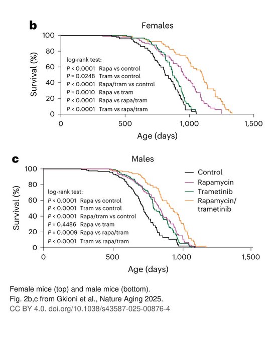 Two Kaplan-Meier survival curves from Gkioni et al., Nature Aging 2025, showing survival percentages for female (top) and male (bottom) mice across four treatment groups: Control, Rapamycin, Trametinib, and Rapamycin/trametinib combination, with log-rank statistical tests.