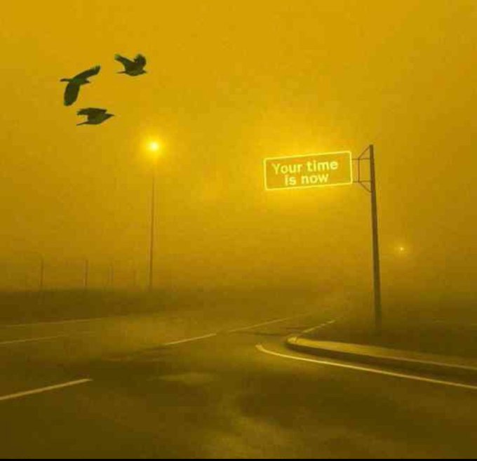 An atmospheric, foggy yellow-toned image of a road with a streetlamp, four birds flying overhead, and a highway sign reading 'Your time is now'.