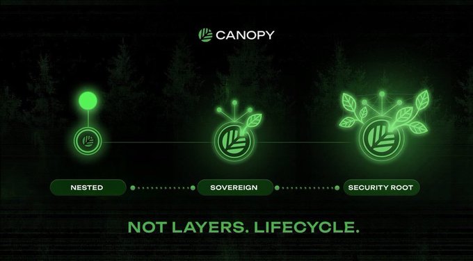The image is a dark-themed graphic for CANOPY featuring three green glowing icons labeled "NESTED," "SOVEREIGN," and "SECURITY ROOT," connected to illustrate a progression from a single chain to multiple chains sharing a root, with the tagline "NOT LAYERS. LIFECYCLE." It visually reinforces the post's argument that CNPY Network's architecture eliminates developer friction by offering a true lifecycle approach to blockchain deployment, rather than forcing teams into a one-size-fits-all monolithic model.