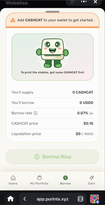 A screenshot of the "Borrow" tab on app.purinta.xyz showing a CASHCAT lending interface with a borrow rate of 0.07%/yr, CASHCAT price of $0.15, and a $0 (-100%) liquidation price, with a prompt to "Add CASHCAT to your wallet to get started."