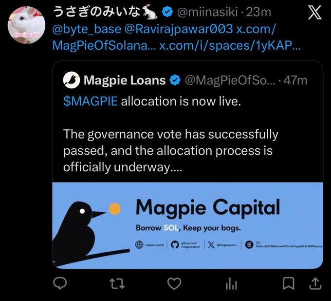 The image features a Twitter account with a post about a company named "Magpie Capital" and an attached image of a bird. The post includes text that reads, "The governance vote has successfully passed, and the allocation process is officially underway..." This suggests that the company's decision-making process regarding the allocation of funds or resources might be in progress.