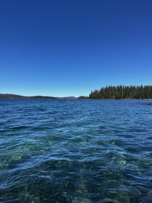 A scenic photograph of crystal-clear lake water with a forested shoreline and a small boat visible in the distance under a bright blue sky.