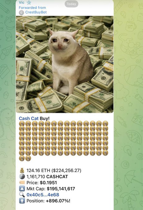 A Telegram message from CrestBuyBot titled "Cash Cat Buy!" shows a cat sitting on piles of cash, documenting a massive purchase of 1,161,710 CASHCAT tokens for 124.16 ETH ($224,256.27) at $0.1951, marking an +896.07% position gain to match the post's excitement about the pump on $CASHCAT.