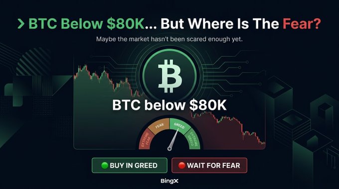A BingX cryptocurrency market graphic displays 'BTC Below $80K... But Where Is The Fear?' with a 'BTC below $80K' fear-and-greed meter and buttons reading 'BUY IN GREED' and 'WAIT FOR FEAR'.