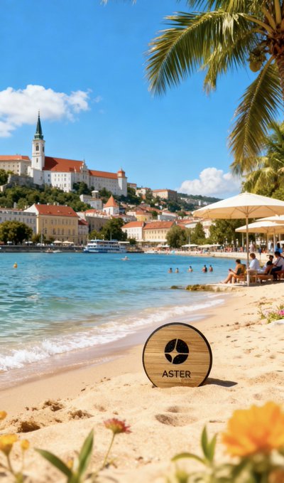 A scenic beach view with a coastal town, palm trees, and a circular 'ASTER' logo on the sand.
