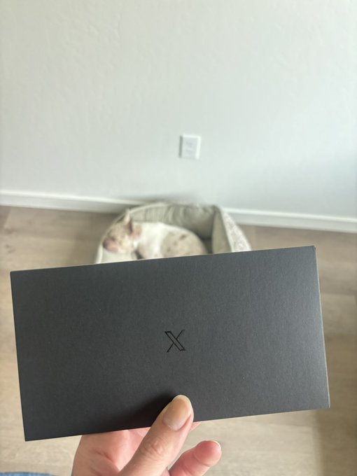 A hand holds a black envelope with an 'X' logo in front of a dog sleeping in a pet bed on a wooden floor.