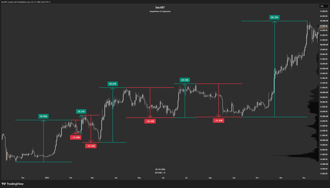 A TradingView chart of Bitcoin (BTC) displays a volatility timeline from July 2023 to October 2024, highlighting price swings with percentage moves ranging from -23% to +29% during the period leading out of the bear market bottom. The chart visually reinforces the post's reminder of BTC's significant price fluctuations before its major rally, with annotated arrows marking the volatile up and down moves.