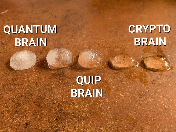 Five rough salt crystals or stones lined up on a rusty metal surface, labeled 'QUANTUM BRAIN', 'QUIP BRAIN', and 'CRYPTO BRAIN'.