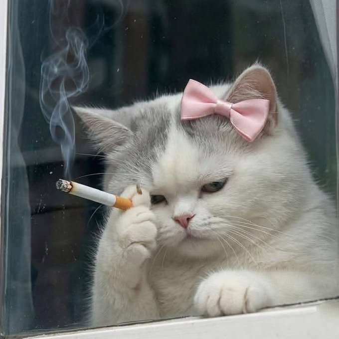 A white and gray cat wearing a pink bow holds a lit cigarette between its paw while looking through a glass window, with smoke rising from the cigarette.