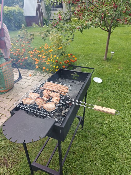 An outdoor scene shows a portable charcoal grill on a grassy lawn, with meat cooking on a branded 'KEDIS' grill basket, smoke drifting over flower beds and a small tree.