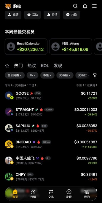 A mobile app screenshot showing a cryptocurrency trading interface in Chinese, displaying top traders like 'ResellCalendar +$207,236.12' and tokens such as GOOSE, STRAIGHT, SAPUJU, BNCDAO, and CNPY.