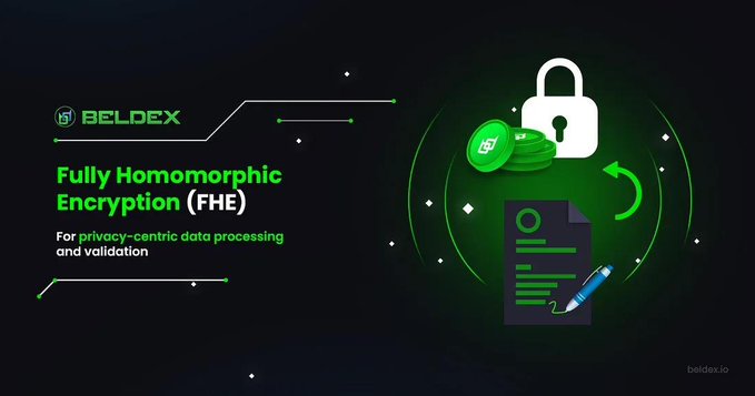 A graphic from Beldex about Fully Homomorphic Encryption (FHE) reads 'For privacy-centric data processing and validation,' accompanied by an icon of a padlock, coins, and a document with a fountain pen.