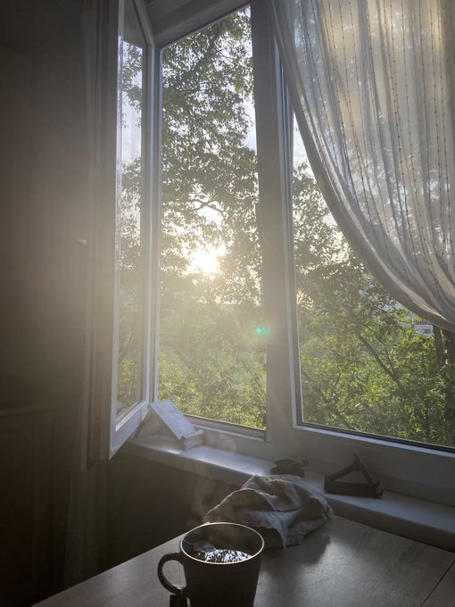Morning sunlight streams through a bay window into a cozy room, illuminating a steaming mug of coffee on the table alongside a folded towel and hangers, setting a peaceful scene for a relaxed "gm" greeting.