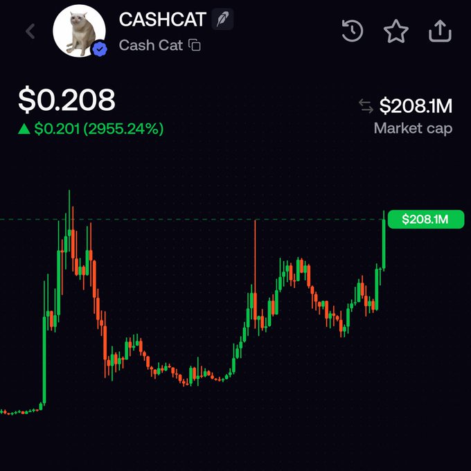 A cryptocurrency chart for "CASHCAT" (Cash Cat) shows the token at $0.208 with a market cap of $208.1M and a 2955.24% gain of $0.201, visually illustrating the massive 2170x return claimed in the post where one Solana invested would now be worth approximately $183,000.