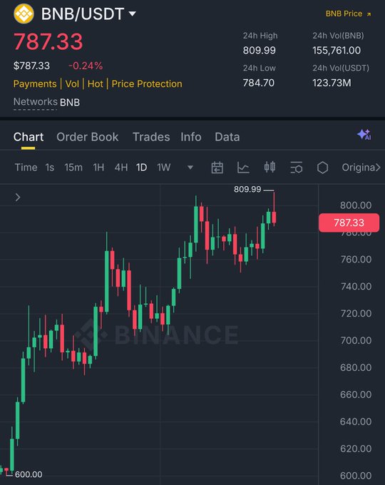 A cryptocurrency trading chart for BNB/USDT on Binance shows the price at $787.33, down 0.24%, with a 24-hour high of 809.99 and a low of 784.70.