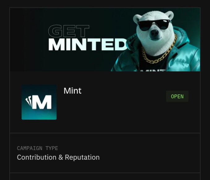 A promotional graphic for 'Mint' cryptocurrency featuring a bear wearing sunglasses and a gold chain, labeled as a 'Contribution & Reputation' campaign.