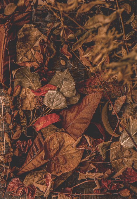 A close-up overhead view of autumn leaves in various shades of brown, rust, and deep red scattered on a wooden surface, with delicate twigs resting on top.
