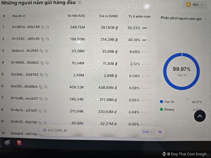 A BSC blockchain holder ranking chart titled 'Những người nắm giữ hàng đầu' showing the top wallet holds 50.23% with Top 10 holding 99.97%, credited to Duy Thai Coin Insight.