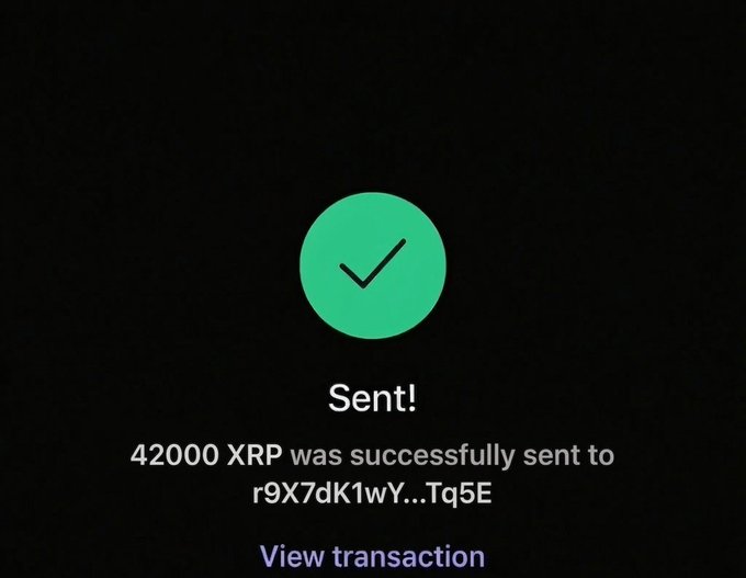The image shows a green checkmark with an X next to it, which indicates that the message was successfully sent. The text in the image reads "SENT! 42,000 XPR was successfully sent to r/XRP". This message is related to a post about sending money through cryptocurrency, specifically using XRP as the medium of exchange.