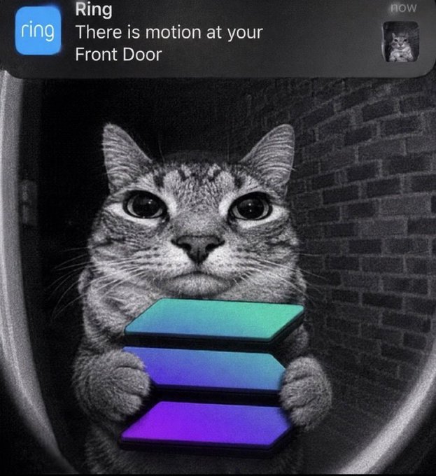 A humorous meme showing a Ring doorbell notification that reads "There is motion at your Front Door," paired with a black-and-white image of a wide-eyed cat seemingly holding the colorful Solana logo, playfully suggesting that a cat literally triggered the Solana motion symbol. The post "solana has motion" ties the joke together by referencing the real-life "motion detected" alert style applied to crypto's movement.