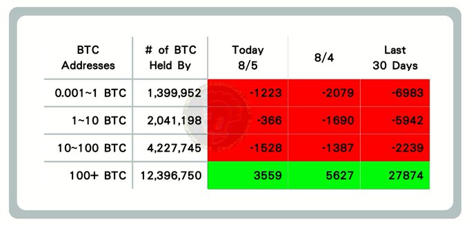 The image displays a Bitcoin (BTC) address distribution table showing holdings across four tiers (0.001~1 BTC, 1~10 BTC, 10~100 BTC, and 100+ BTC) with net changes for 8/5, 8/4, and the last 30 days. It reveals that smaller holders (under 100 BTC) have been selling (-1,223 to -1,528 addresses on 8/5), while large whales (100+ BTC, holding 12,396,750 BTC) have been aggressively accumulating (+3,559 on 8/5, +5,627 on 8/4, and +27,874 over 30 days), confirming the post's claim of whale buying activity on August 5, 2026.