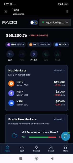Screenshot of the Pado Finance app showing crypto market data with a portfolio value of $65,230.76 and hot markets including NBTC, NETH, and NSOL.
