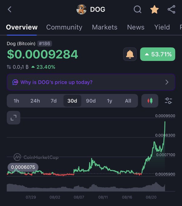 A CoinMarketCap chart for DOG (Dog Bitcoin) #186 shows its price at $0.0009284, with a 53.71% increase highlighted on a 30-day view.