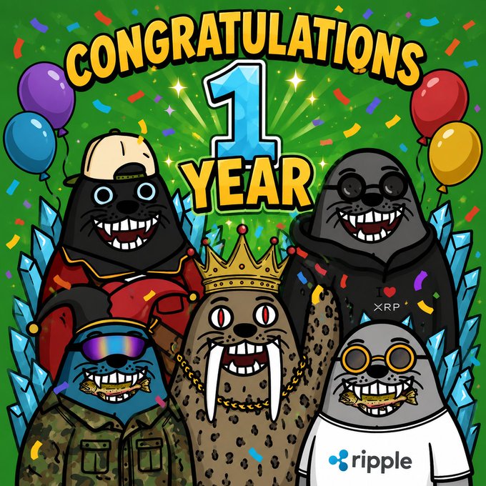 The image features a group of cartoon seals celebrating their one-year anniversary with confetti, balloons, and a banner that reads "Congratulations 1 Year". The seals include a SealXRP, SealDPCJones, SealDPCJones, SealDPCJones, and SealDPCJones. They are all dressed in different outfits, such as a military uniform, a pirate outfit, and a sports team jersey. The seals are standing close together with their arms raised in the air, expressing joy and camaraderie.