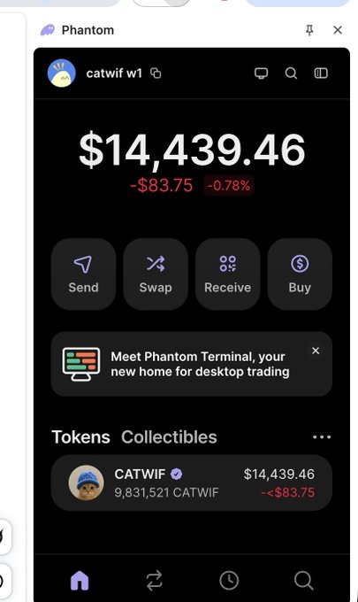 A Phantom wallet interface showing a portfolio balance of '$14,439.46' for 'catwif w1', down by '-$83.75 (-0.78%)', with options for Send, Swap, Receive, and Buy, and a CATWIF token holding of 9,831,521.