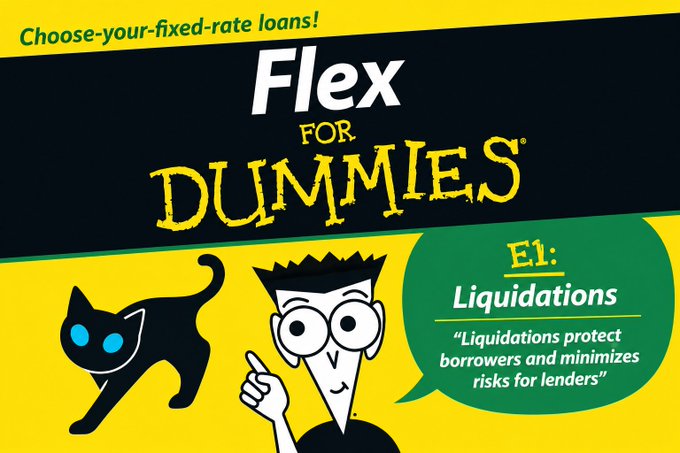 A graphic designed like a 'For Dummies' book cover titled 'Flex for Dummies: E1: Liquidations', featuring a cartoon character, a cat, and text explaining how liquidations protect borrowers and minimize risks for lenders.