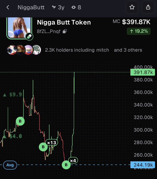 A cryptocurrency tracker screenshot showing the "Nigga Butt Token" (8fZL...Pnf) with a market cap of $391.87K, up 19.2%, and 2.3K holders, with a green price chart highlighting recent buy activity and a "x13" gain annotation. The chart visually supports the post's claim of a significant pump, showing the token's sharp upward movement from around $244K to nearly $400K market cap.