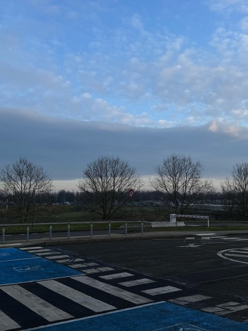 A view of a paved road with a crosswalk and blue bicycle lane, looking out toward bare trees and a cloudy sky.
