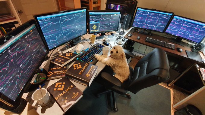 A small dog sits at a multi-monitor trading desk displaying Binance cryptocurrency charts, with several Binance-branded books scattered on the desk.