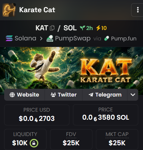 The image displays a cryptocurrency tracking page for "Karate Cat" (ticker KAT/SOL), showing a price of $0.042703 USD (0.063580 SOL), $10K liquidity, and a $25K market cap, available on Solana via PumpSwap/Pump.fun. This relates to the post by showcasing another trending meme coin opportunity, implying the user may also miss out on "Karate Cat" if they don't act quickly, following the pattern of previously successful tokens that delivered significant multiples (43x-163x).