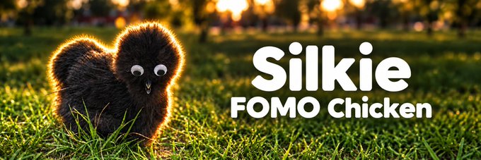 A Silkie FOMO Chicken—a fluffy black chicken with googly eyes—grazing in grass at sunset, with the text 'Silkie FOMO Chicken' displayed beside it.
