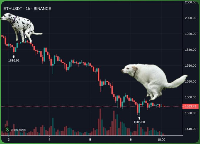 The image features an ETHU symbol with a caption that reads "ethu" and "ETHUSDT", which indicates that this is a cryptocurrency exchange. The caption also includes a humorous statement about a dog, suggesting that the market might be experiencing a downturn or instability. The caption further explains that the dog is about to take a poop, implying that the market's value has dropped significantly.