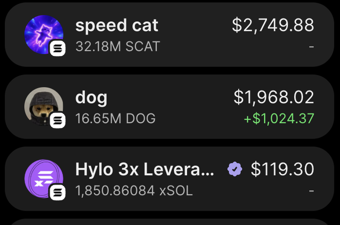 A crypto portfolio screenshot shows holdings of "speed cat" (32.18M SCAT, $2,749.88), "dog" (16.65M DOG, $1,968.02, +$1,024.37 gain), and "Hylo 3x Levera..." (1,850.86084 xSOL, $119.30) — the poster's amused reaction "wait... its 3X LEVERAGED SOL LMAOOOOOOO" suggests they unexpectedly discovered their third position was a leveraged position they hadn't realized was 3x leveraged.