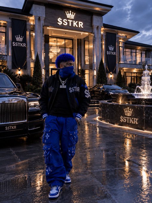 A person with blue hair and a blue face covering stands in front of a luxurious mansion and Rolls Royce, with multiple signs and banners prominently displaying the text "$STKR" topped with a crown logo.