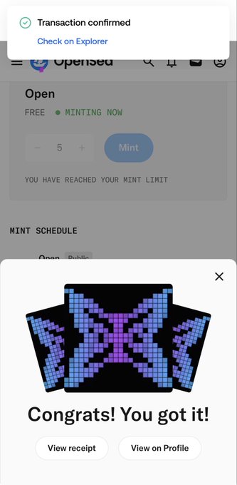 A mobile screen displays an OpenSea NFT minting interface with a 'Transaction confirmed' notification and a 'Congrats! You got it!' popup featuring a pixelated black, blue, and purple icon.
